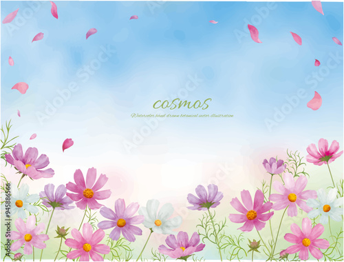 水彩手書きのピンクのコスモスの花と秋晴れの空の背景イラスト