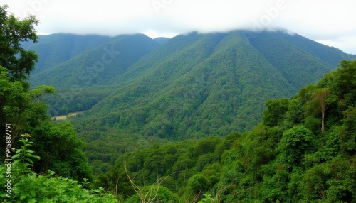 Epic view of majestic mountains and lush forests