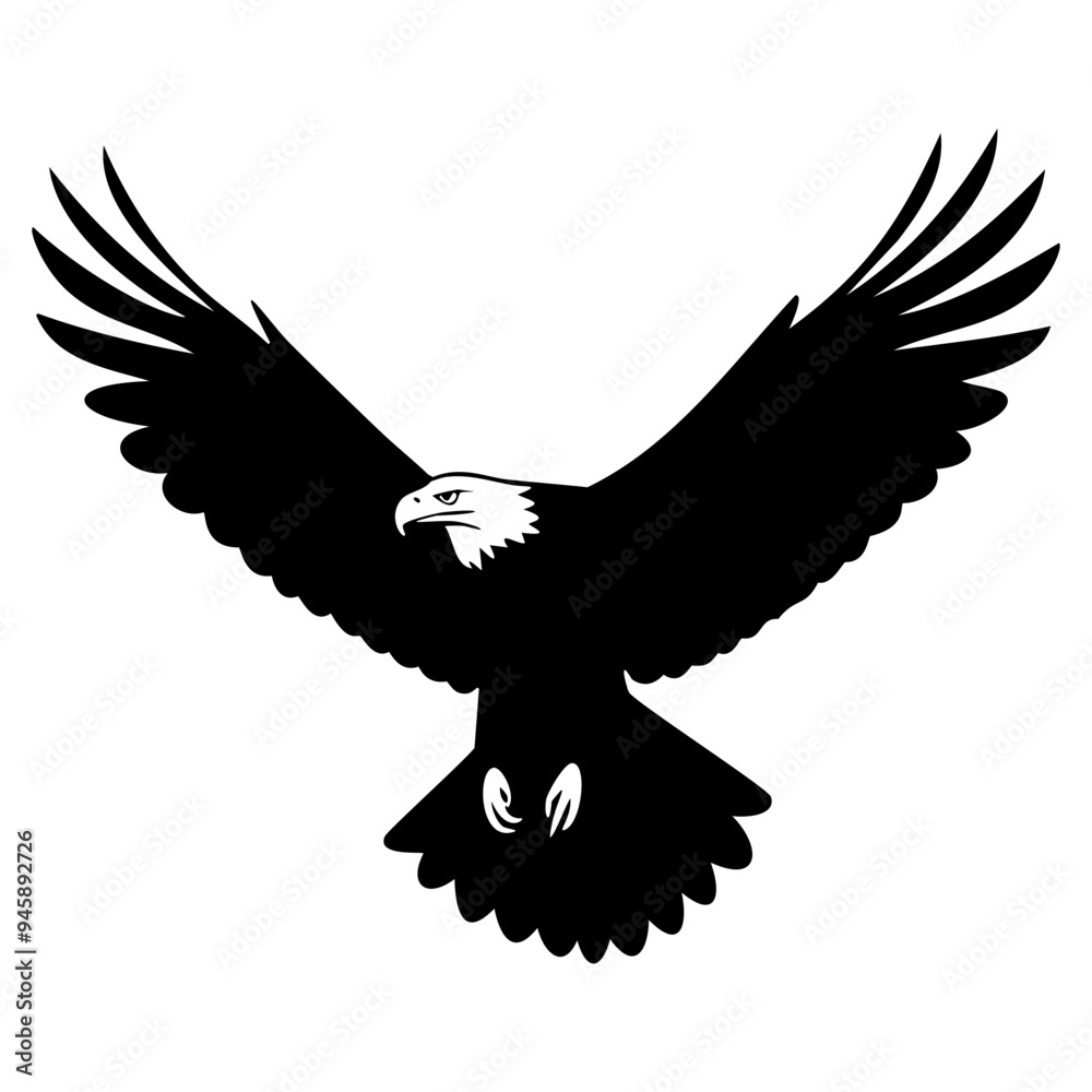 Obraz premium eagle in flight