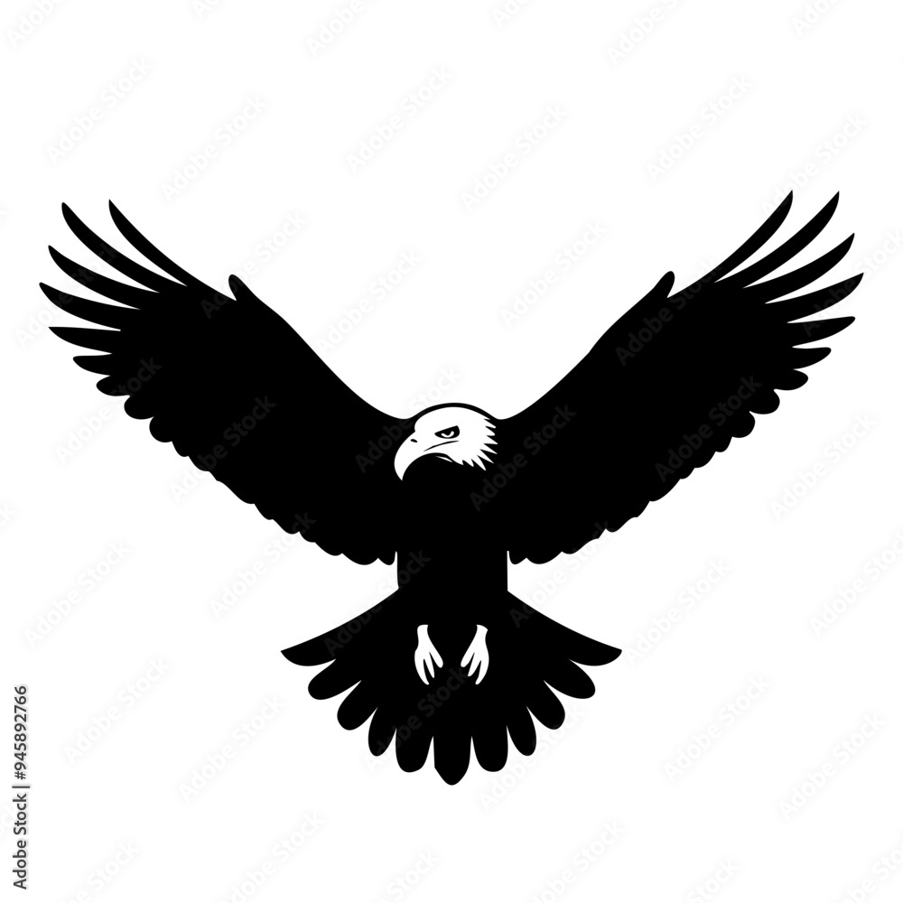 Obraz premium eagle in flight