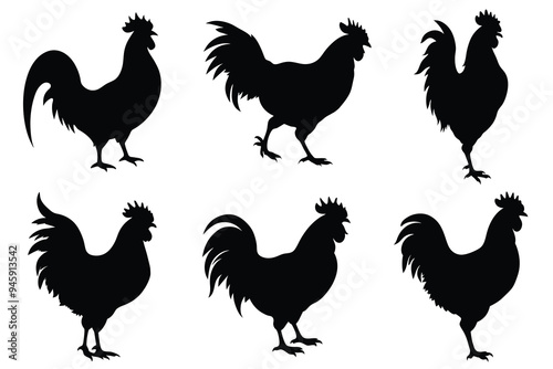 Set of rooster silhouette vectors. isolated  on white background.