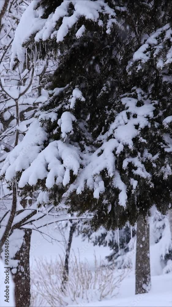 北海道　雪が降る森林　冬　イメージ　縦向き　縦型動画　回転　サイネージ