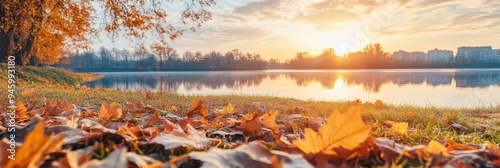 Close-up of blurred autumn leaves in the forest at sunset, autumn grass in the park, trees and lake in the background Stock image