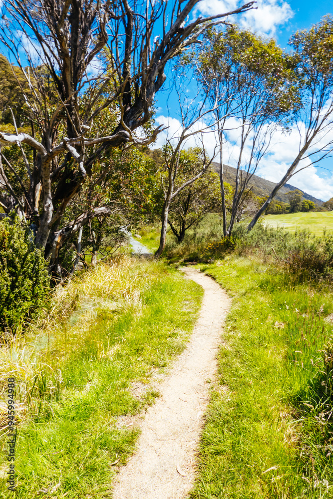 Thredo Views in Australia Thredo Views in Australia