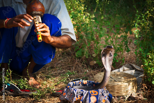 Indian snake charmer plays on flute for black cobra photo