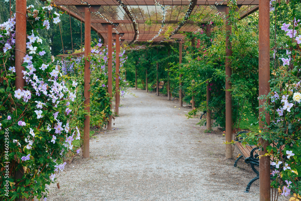 Charming flower covered walkway in Orebro City Park, lush greenery and flowers over a wooden pergola. Relaxation and nature beauty concept. Orebro, Sweden. Copy space Charming flower covered walkway in Orebro City Park, lush greenery and flowers over a wooden pergola. Relaxation and nature beauty concept. Orebro, Sweden. Copy space