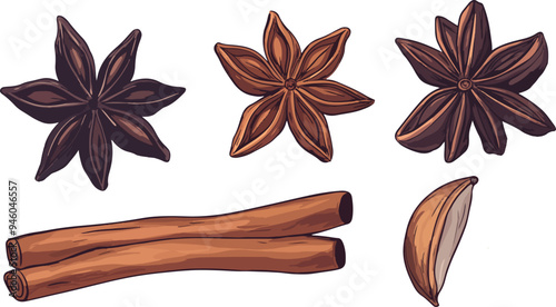 vector illustration of star anise and cinnamon sticks, showing detailed spice elements. Suitable for use in culinary content, spice guides, and recipe illustrations.