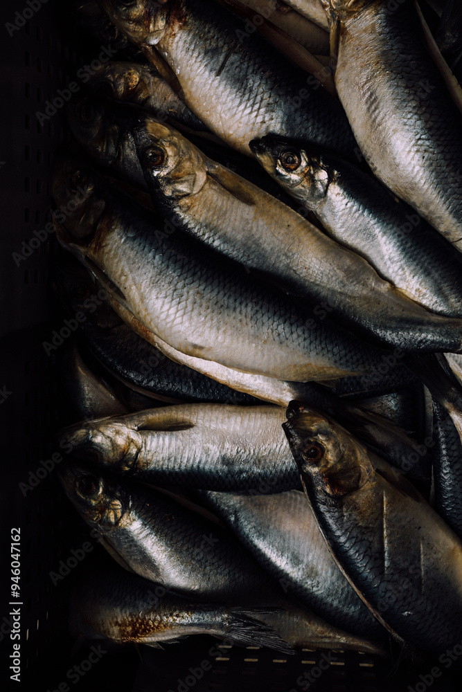 Obraz premium Freshly caught herring