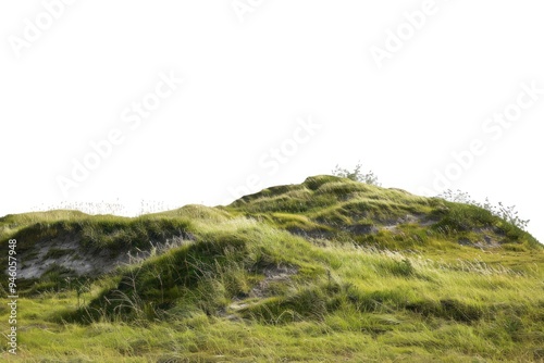 Green grassy hill landscape nature