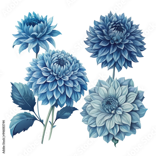 Arrangement of Blue Dahlias with Green Leaves on White Background