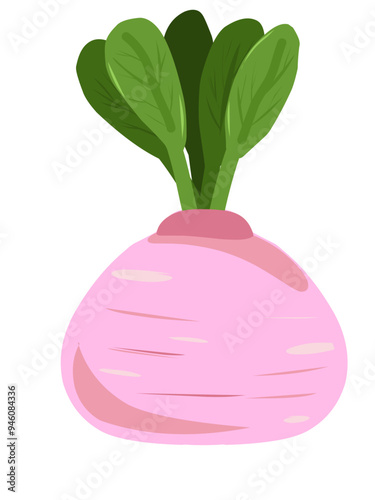 clipart of pink beetroot fruit with green leaf shoots