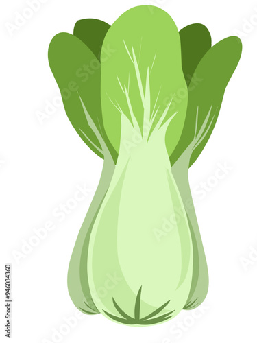 green vegetable vector, bok choi with fresh blooming leaves