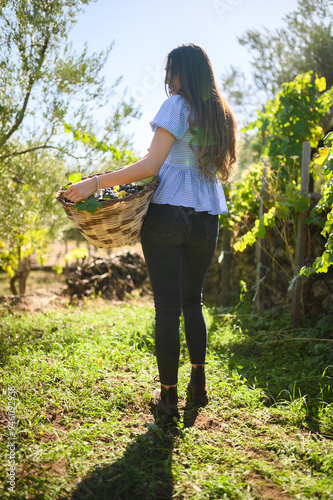 Young female farmer carrying basket full of grapes in vineyard