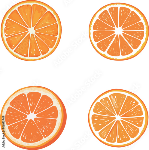 Orange Slices Illustration