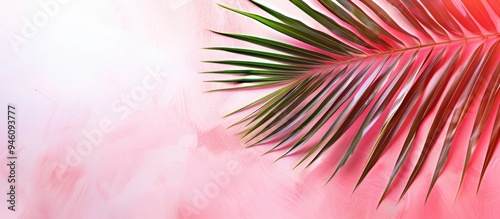 Minimal style composition featuring a single leaf from a coconut palm tree against a vibrant pink and white gradient background Hello xummer concept Close up copyspace for text background flat lay to