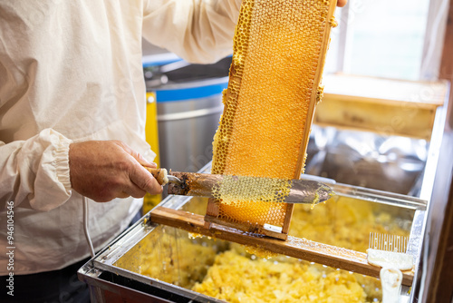 Fotografía Beekeeper opening honey frame with electric knife, uncapping while harvest
