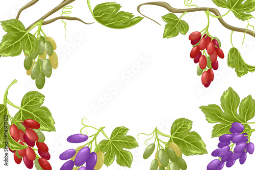 Grapes vector square frame. Hand drawn illustration of bunch of grapes with leaves. Border template for restaurants, menu, wine list and winemaking banners. White background. Clipping mask.