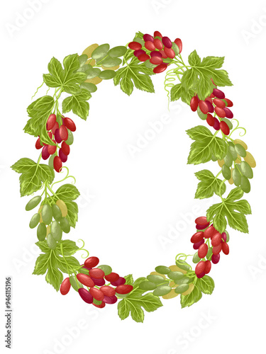 Grapes vector frame. Hand drawn illustration of bunch of grapes with leaves. Circle template for restaurants, menu, wine list, winemaking banners, harvest festival. White background