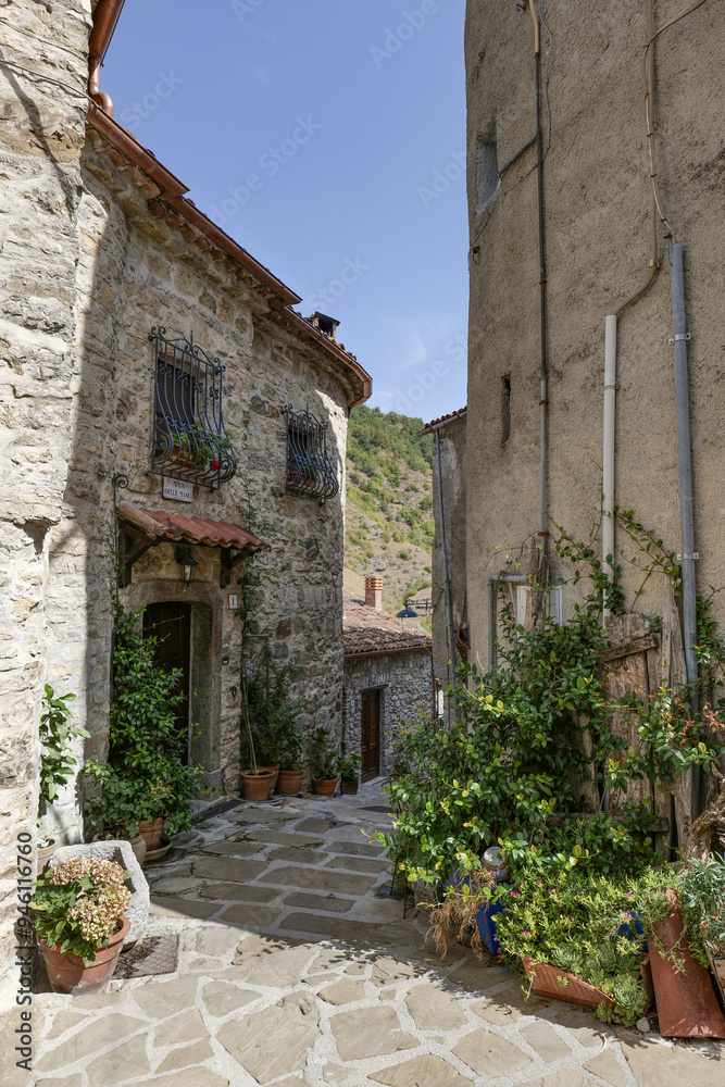 Fototapeta premium A street in Sasso di Castalda, a village in Basilicata, Italy
