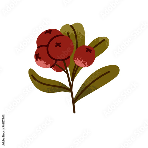 Mountain cranberry icon. Lingonberry branch with green leaves. Cowberry twig with foliage, red berries. Healthy fores food, eating. Flat isolated hand drawn vector illustration on white background