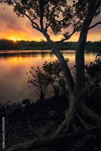 sunset along wooli wooli river with tree on nsw north coast with smoke in the sky photo