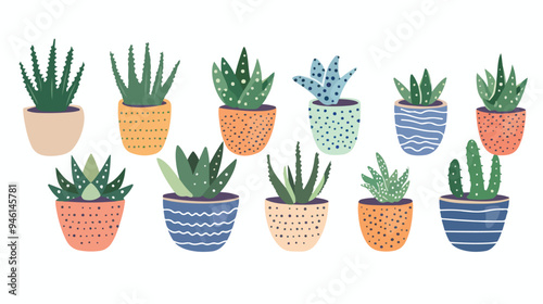 Stylish Potted Indoor Aloe Succulent Flower Vase for Modern House Decor