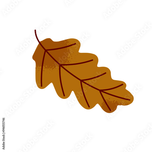 Autumnal leaf of oak in hand drawn style. Fallen tree foliage, dry autumn leafage. Natural element of decoration. Icon of nature in fall season. Flat isolated vector illustration on white background