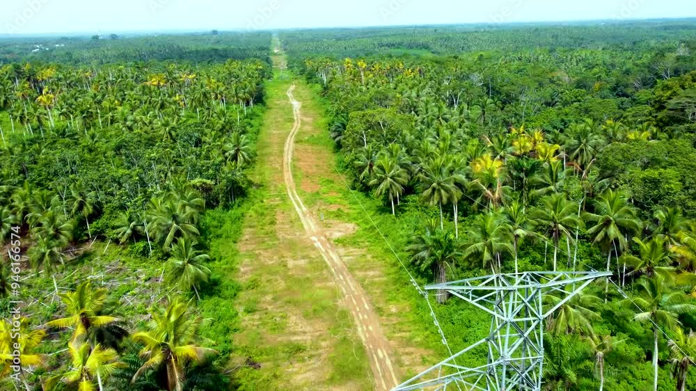 Drone high-tension tower in a coconut plantation