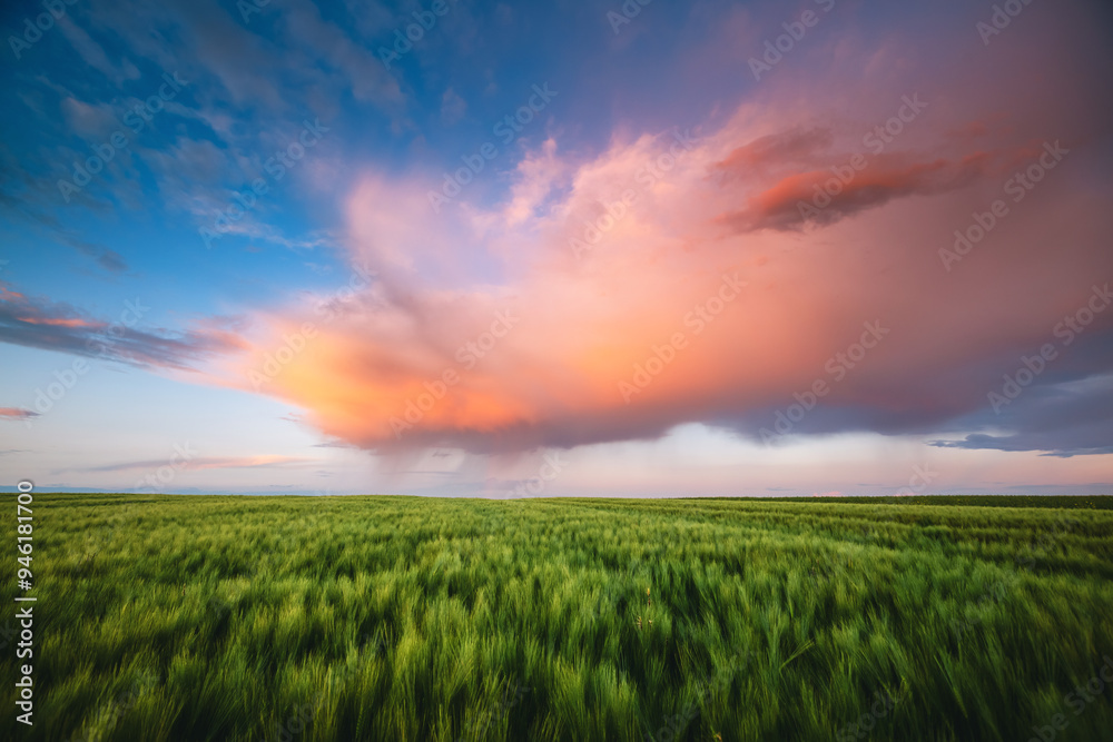 A gorgeous storm cloud with rain, illuminated by the rays of the sun at sunset. A gorgeous storm cloud with rain, illuminated by the rays of the sun at sunset.