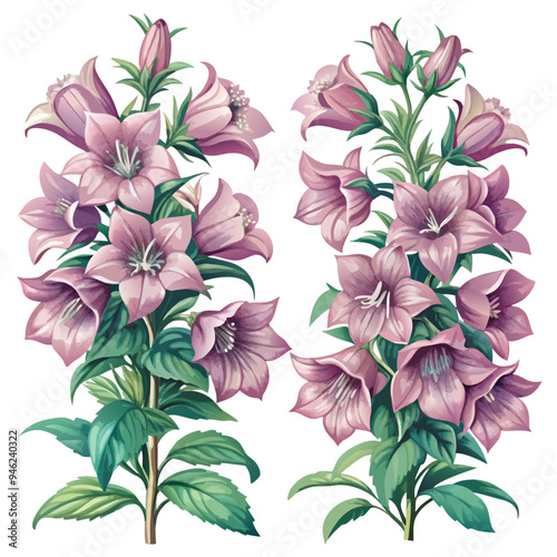 Bouquets of Pink Bellflowers with Green Foliage in Watercolor Style