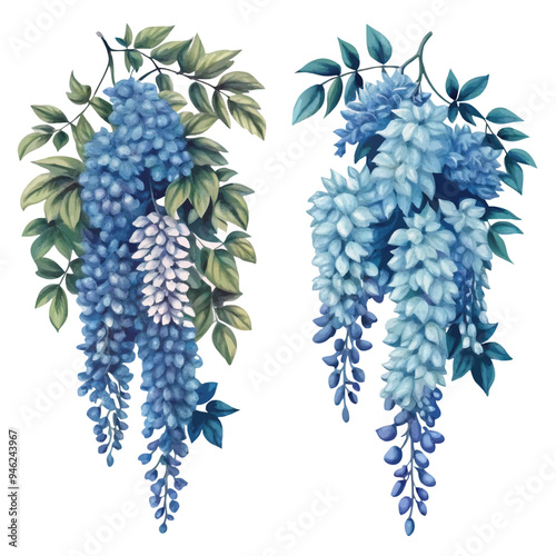 Watercolor Paintings of Wisteria Blossoms with Green Leaves Hanging Down