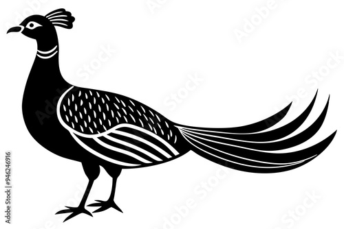 A minimalist  vector illustration of the Malayan Peacock-Pheasant