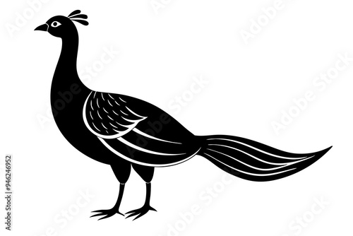 A minimalist  vector illustration of the Malayan Peacock-Pheasant