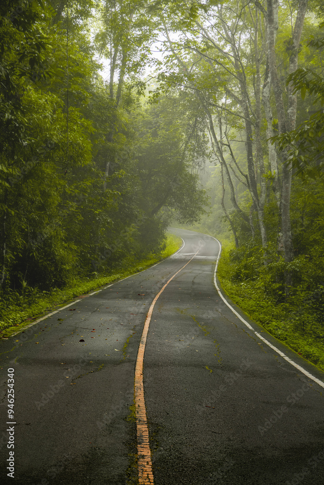 Obraz premium A straight steep road to entrance to Khao Yai national Park to see the beauty of the tropical forest in Khao Yai National Park. Thailand.