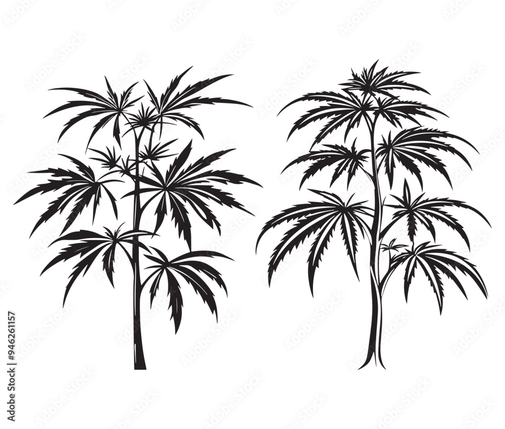 Fototapeta premium vector botanical cannabis trees