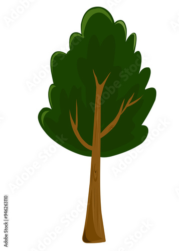 Vector illustration of trees isolated in white, trees with dark green leaves