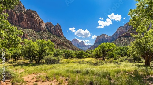 Panoramic view of Zion National Park, lush valley, clear skies, perfect for adding text