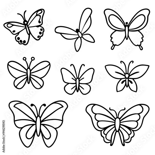 Set of Butterfly Vector, Illustration, Line Art, Colorful