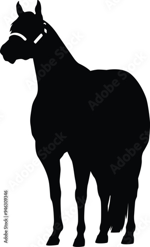 Halter Quarter Horse silhouette photo