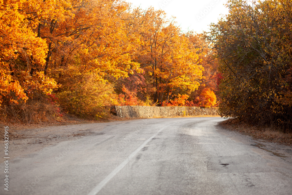 Obraz premium A beautiful view of the nature, mountain, full forest with orange leaves