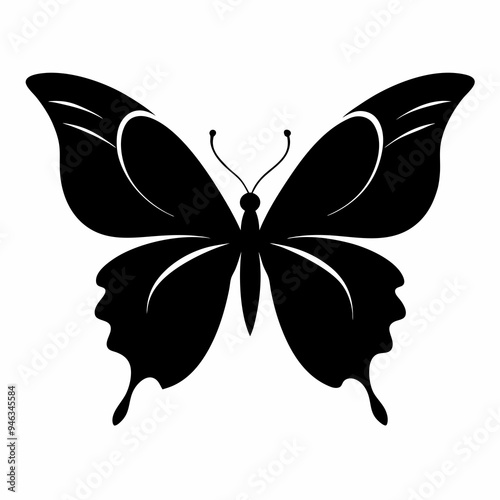 butterfly vector