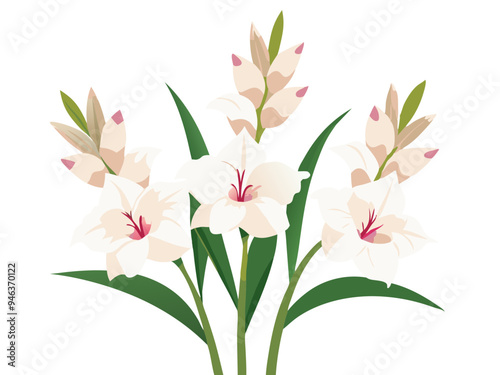Vibrant Gladiolus Flower Illustration With Leaves- Colorful and detailed illustration of a gladiolus flower with vibrant petals and green leaves, capturing the essence of nature's beauty and elegance.