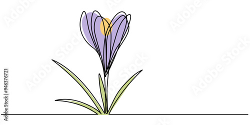 Group of spring crocus flowers in continuous line art drawing style. Black linear sketch on white background with flower heads coloring. Vector illustration, Spring Snowdrop Flower Single Line Drawing