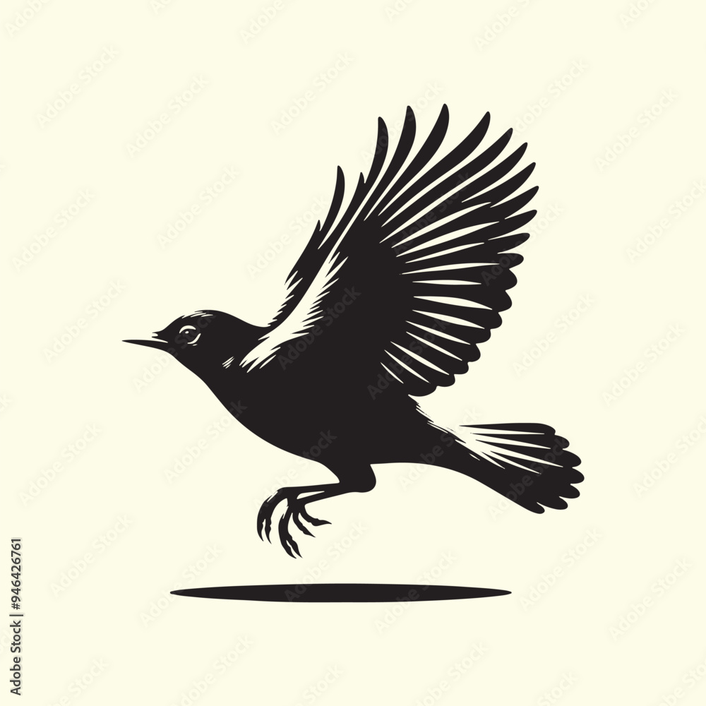 Obraz premium Black Silhouette of an American Robin Bird - Vector Illustration with Transparent Background