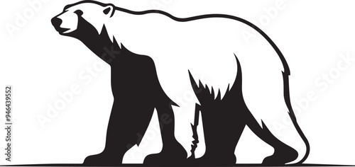 Vector image of a polar bear on a white background