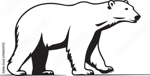 Vector image of a polar bear on a white background