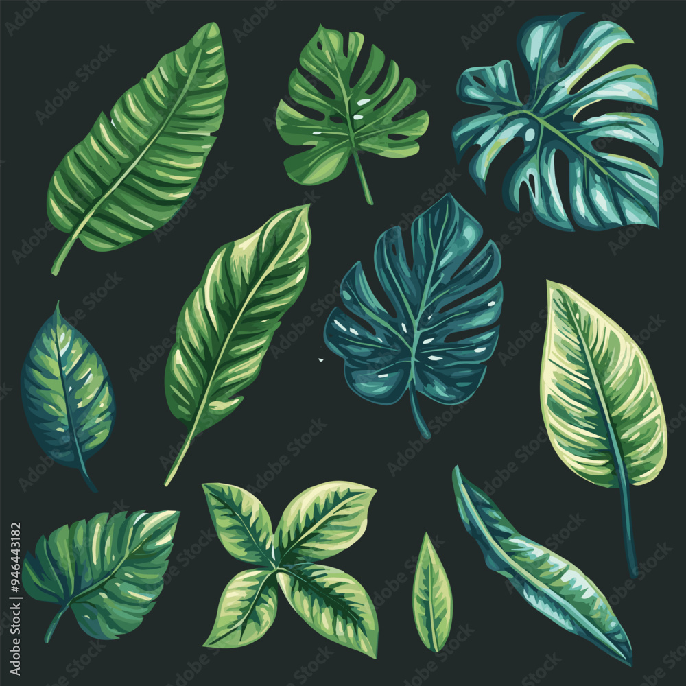 Illustration vector set of tropical leaves Illustration vector set of tropical leaves