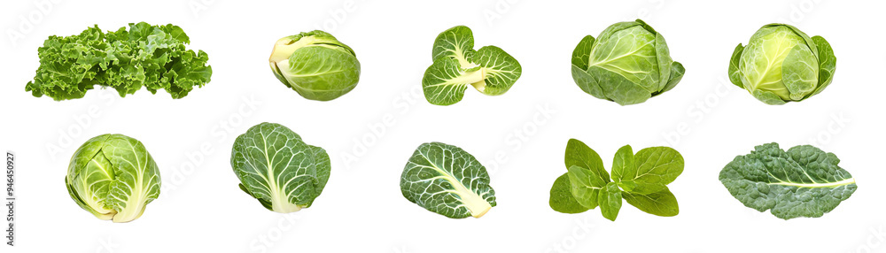 Fototapeta premium A stunning collection of fresh leafy greens including kale, spinach, and cabbage, perfect for healthy recipes and vibrant dishes.