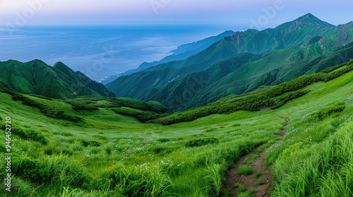 Mountain Path Leading to the Ocean