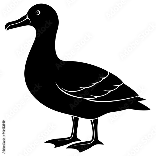 Albatross Silhouette Black Vector Design